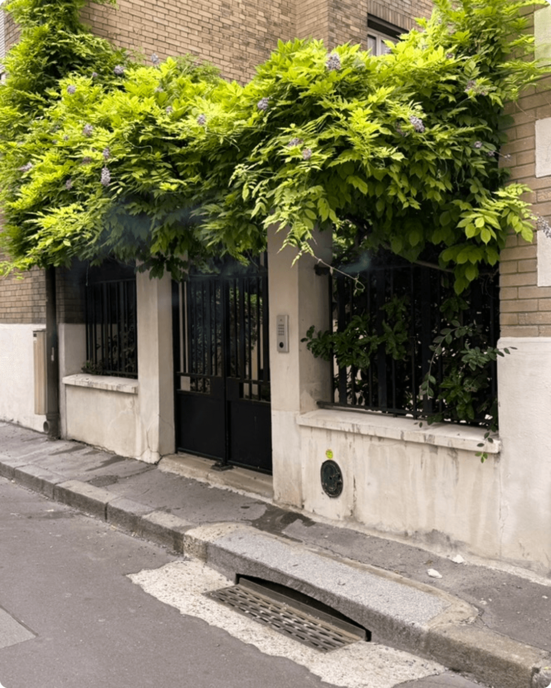 Façade des locaux Cacatoès, Paris 15e